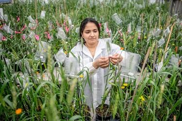 Dr. Rawat in the field taking samples.