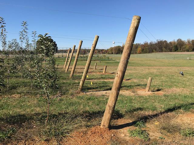 End posts and support system for 2019 tall spindle planting
