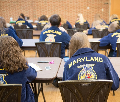 Students in classroom