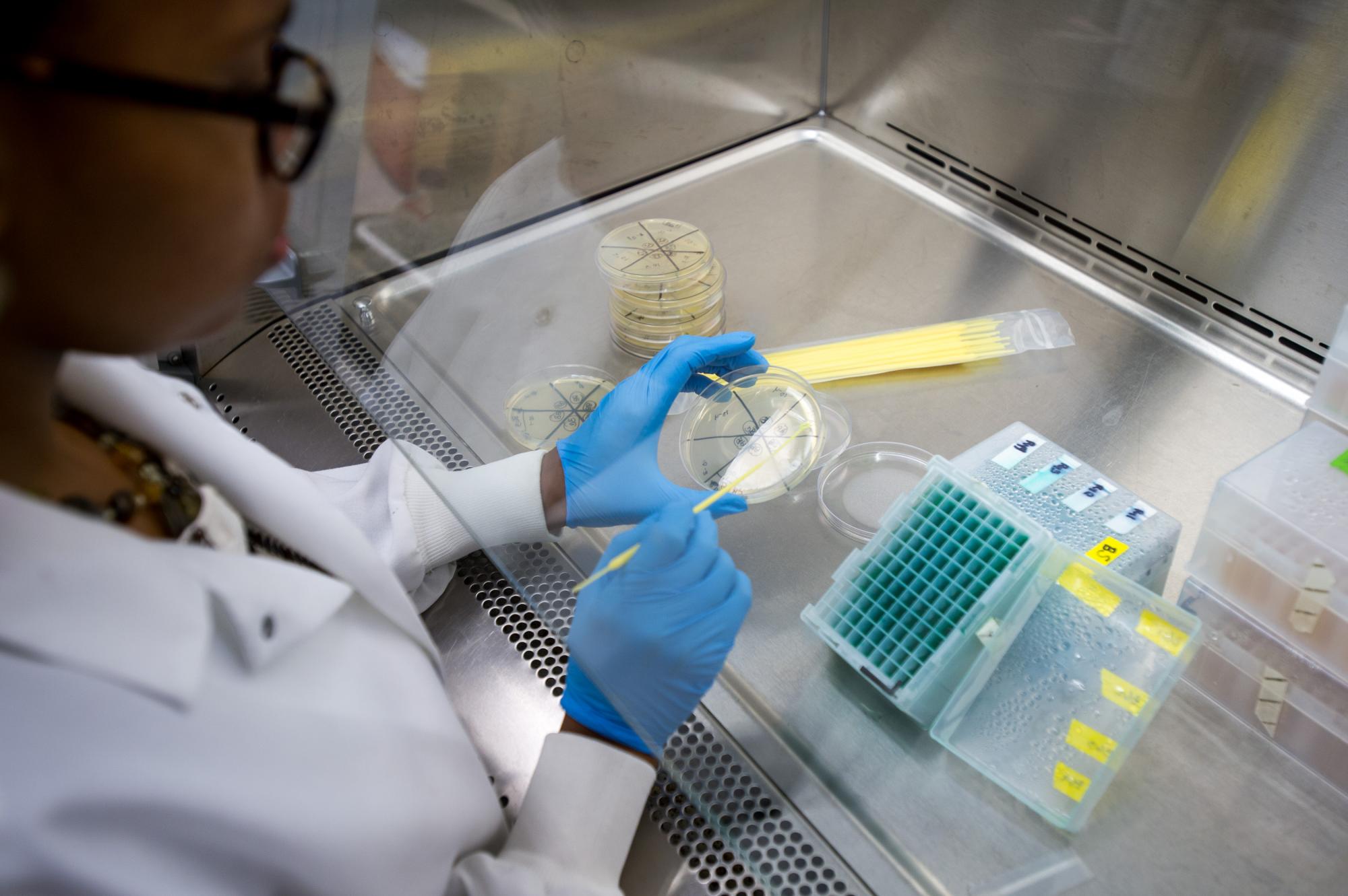 Student doing lab work.