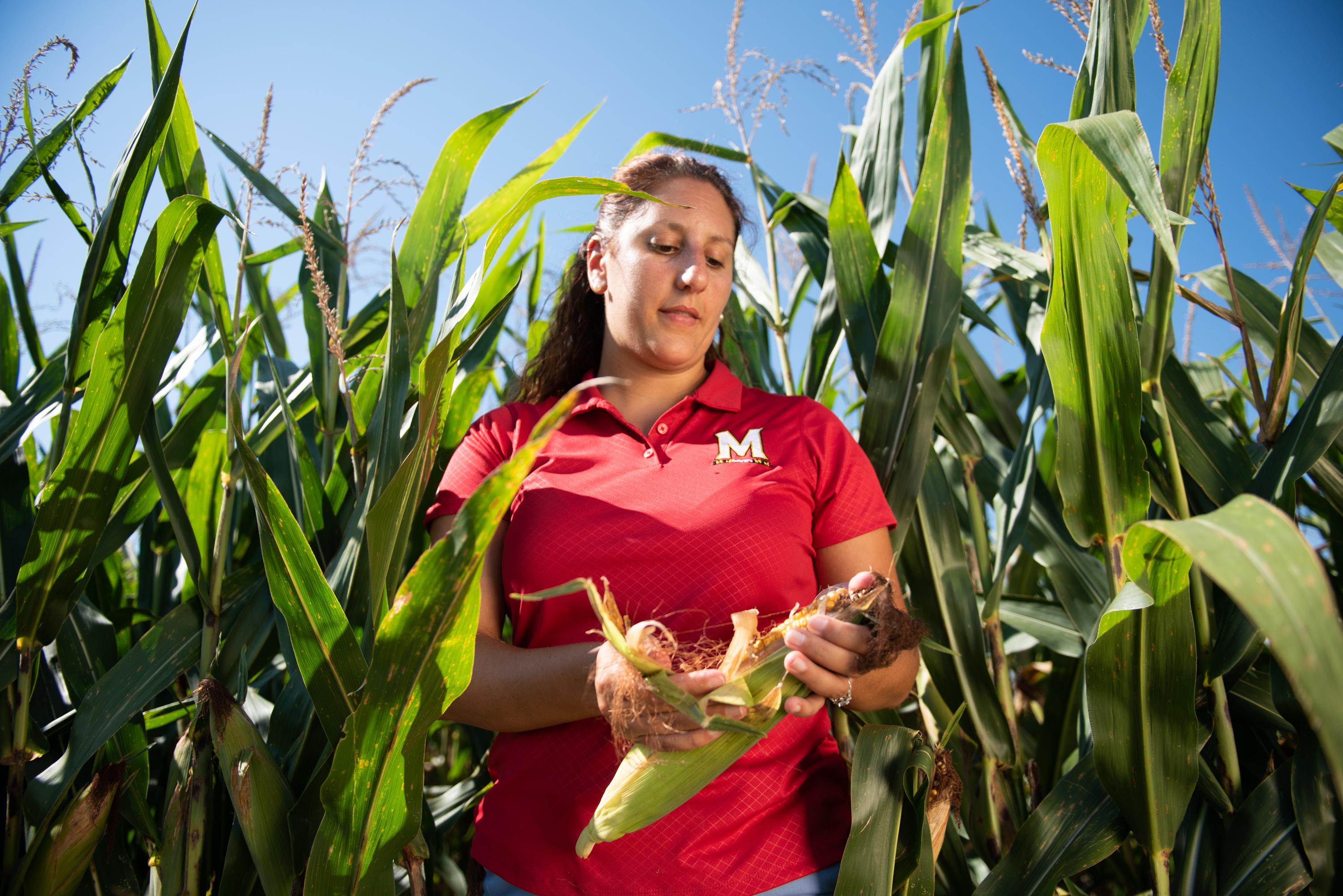 Dr. Fiorellino in field examining plants.